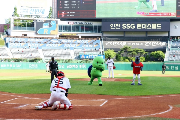 ▲LX한국국토정보공사 랜디가 인천문학구장 SSG랜더스 홈경기에서 시구하는 모습/제공=LX공사